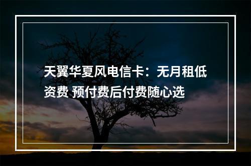 天翼华夏风电信卡：无月租低资费 预付费后付费随心选