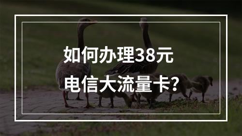 如何办理38元电信大流量卡？