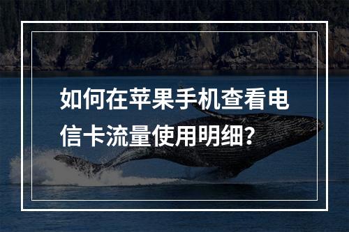 如何在苹果手机查看电信卡流量使用明细？