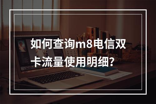如何查询m8电信双卡流量使用明细？