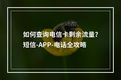如何查询电信卡剩余流量？短信-APP-电话全攻略