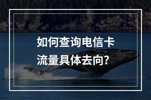 如何查询电信卡流量具体去向？