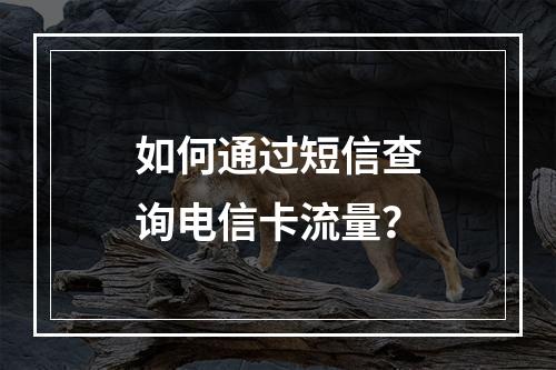 如何通过短信查询电信卡流量？