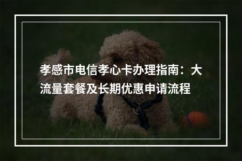 孝感市电信孝心卡办理指南：大流量套餐及长期优惠申请流程