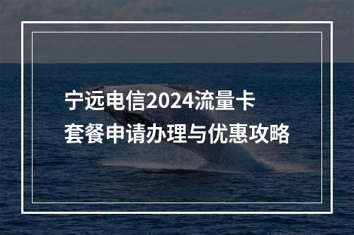 宁远电信2024流量卡套餐申请办理与优惠攻略
