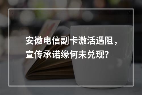 安徽电信副卡激活遇阻，宣传承诺缘何未兑现？