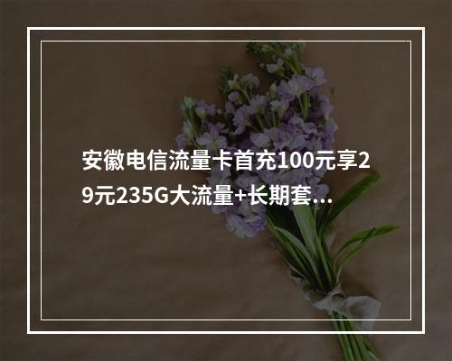 安徽电信流量卡首充100元享29元235G大流量+长期套餐