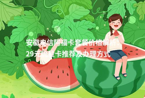 安徽电信阿福卡套餐价格解析：29元流量卡推荐及办理方式