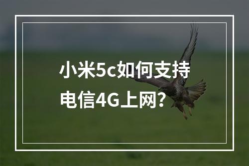 小米5c如何支持电信4G上网？
