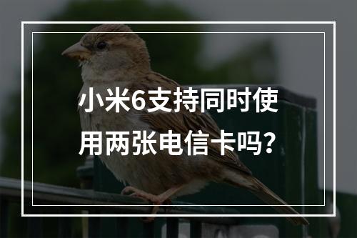 小米6支持同时使用两张电信卡吗？