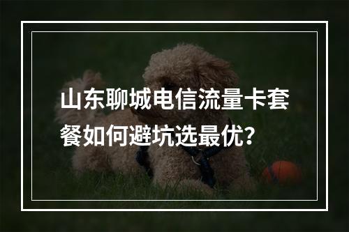 山东聊城电信流量卡套餐如何避坑选最优？