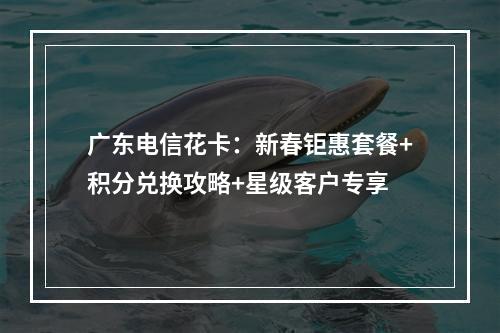广东电信花卡：新春钜惠套餐+积分兑换攻略+星级客户专享