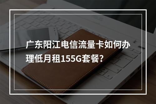 广东阳江电信流量卡如何办理低月租155G套餐？