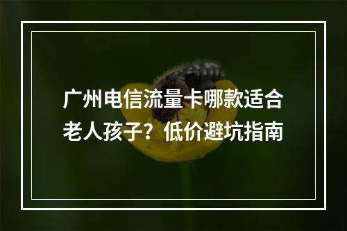 广州电信流量卡哪款适合老人孩子？低价避坑指南
