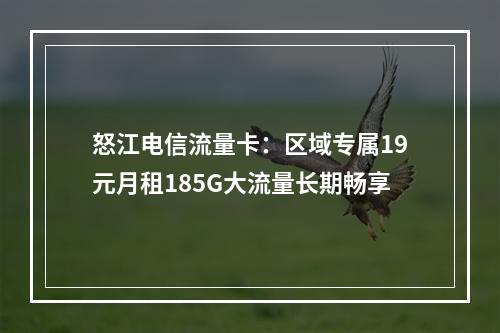怒江电信流量卡：区域专属19元月租185G大流量长期畅享