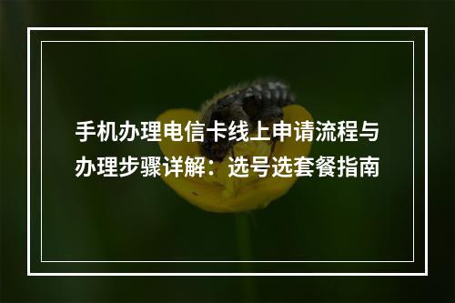 手机办理电信卡线上申请流程与办理步骤详解：选号选套餐指南