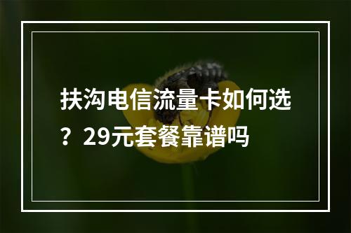 扶沟电信流量卡如何选？29元套餐靠谱吗