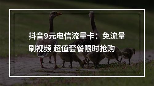 抖音9元电信流量卡：免流量刷视频 超值套餐限时抢购