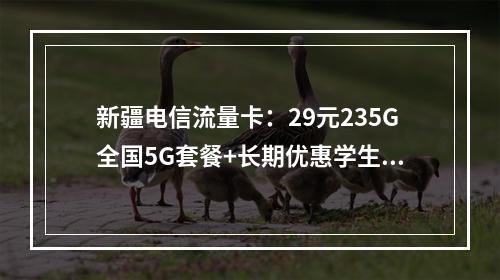 新疆电信流量卡：29元235G全国5G套餐+长期优惠学生专享