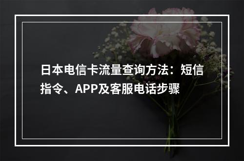 日本电信卡流量查询方法：短信指令、APP及客服电话步骤