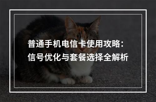 普通手机电信卡使用攻略：信号优化与套餐选择全解析