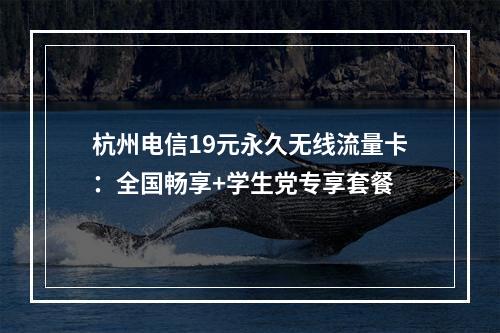 杭州电信19元永久无线流量卡：全国畅享+学生党专享套餐