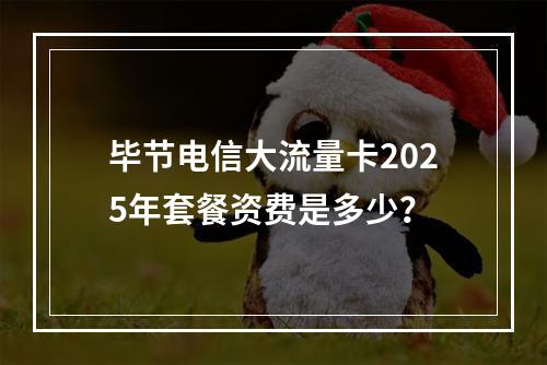 毕节电信大流量卡2025年套餐资费是多少？