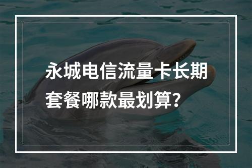 永城电信流量卡长期套餐哪款最划算？