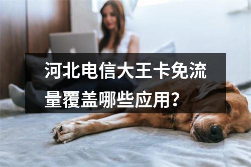 河北电信大王卡免流量覆盖哪些应用？