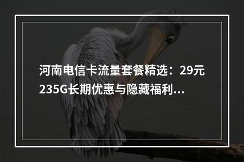 河南电信卡流量套餐精选：29元235G长期优惠与隐藏福利指南