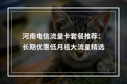 河南电信流量卡套餐推荐：长期优惠低月租大流量精选
