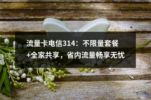 流量卡电信314：不限量套餐+全家共享，省内流量畅享无忧