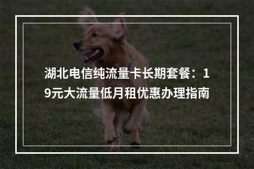 湖北电信纯流量卡长期套餐：19元大流量低月租优惠办理指南
