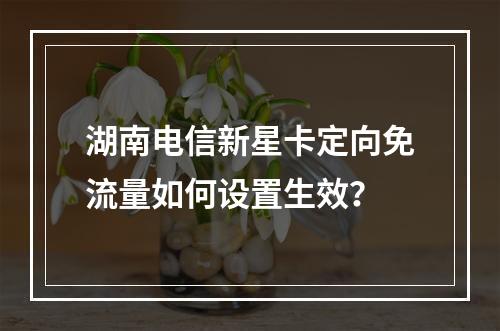 湖南电信新星卡定向免流量如何设置生效？