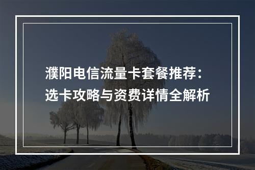濮阳电信流量卡套餐推荐：选卡攻略与资费详情全解析