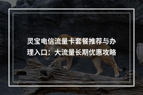 灵宝电信流量卡套餐推荐与办理入口：大流量长期优惠攻略