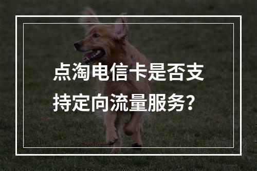 点淘电信卡是否支持定向流量服务？