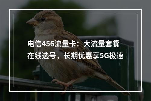 电信456流量卡：大流量套餐在线选号，长期优惠享5G极速