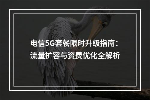 电信5G套餐限时升级指南：流量扩容与资费优化全解析