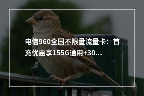 电信960全国不限量流量卡：首充优惠享155G通用+30G定向