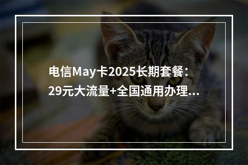 电信May卡2025长期套餐：29元大流量+全国通用办理攻略