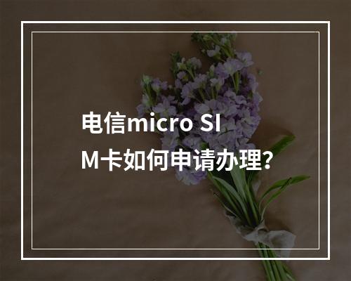 电信micro SIM卡如何申请办理？