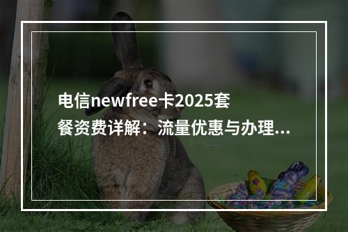 电信newfree卡2025套餐资费详解：流量优惠与办理指南