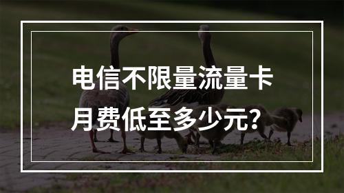 电信不限量流量卡月费低至多少元？