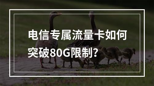 电信专属流量卡如何突破80G限制？