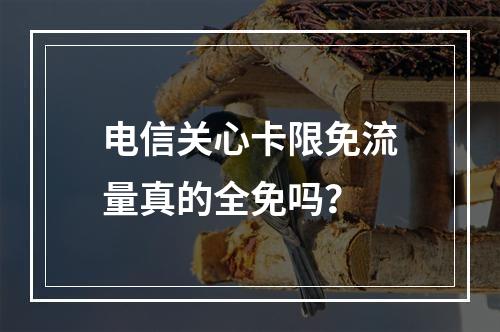 电信关心卡限免流量真的全免吗？