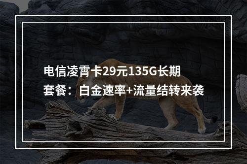 电信凌霄卡29元135G长期套餐：白金速率+流量结转来袭