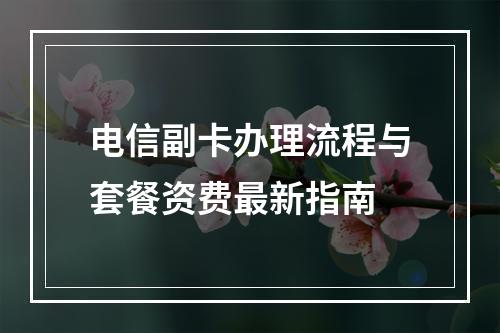 电信副卡办理流程与套餐资费最新指南