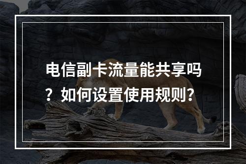 电信副卡流量能共享吗？如何设置使用规则？