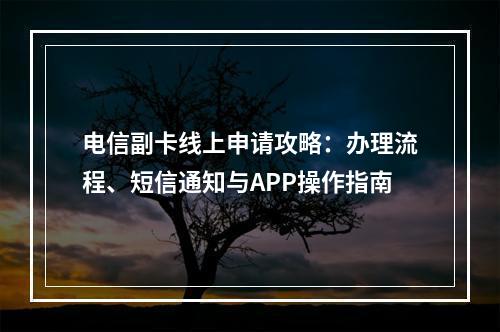 电信副卡线上申请攻略：办理流程、短信通知与APP操作指南